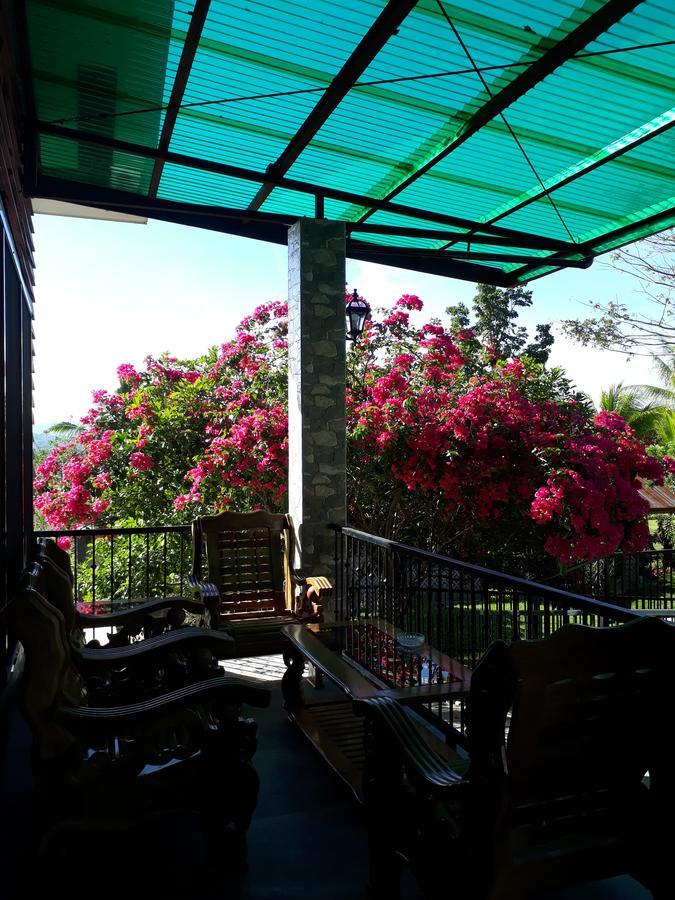 Villa Del Carmen Haven Bohol Exterior photo