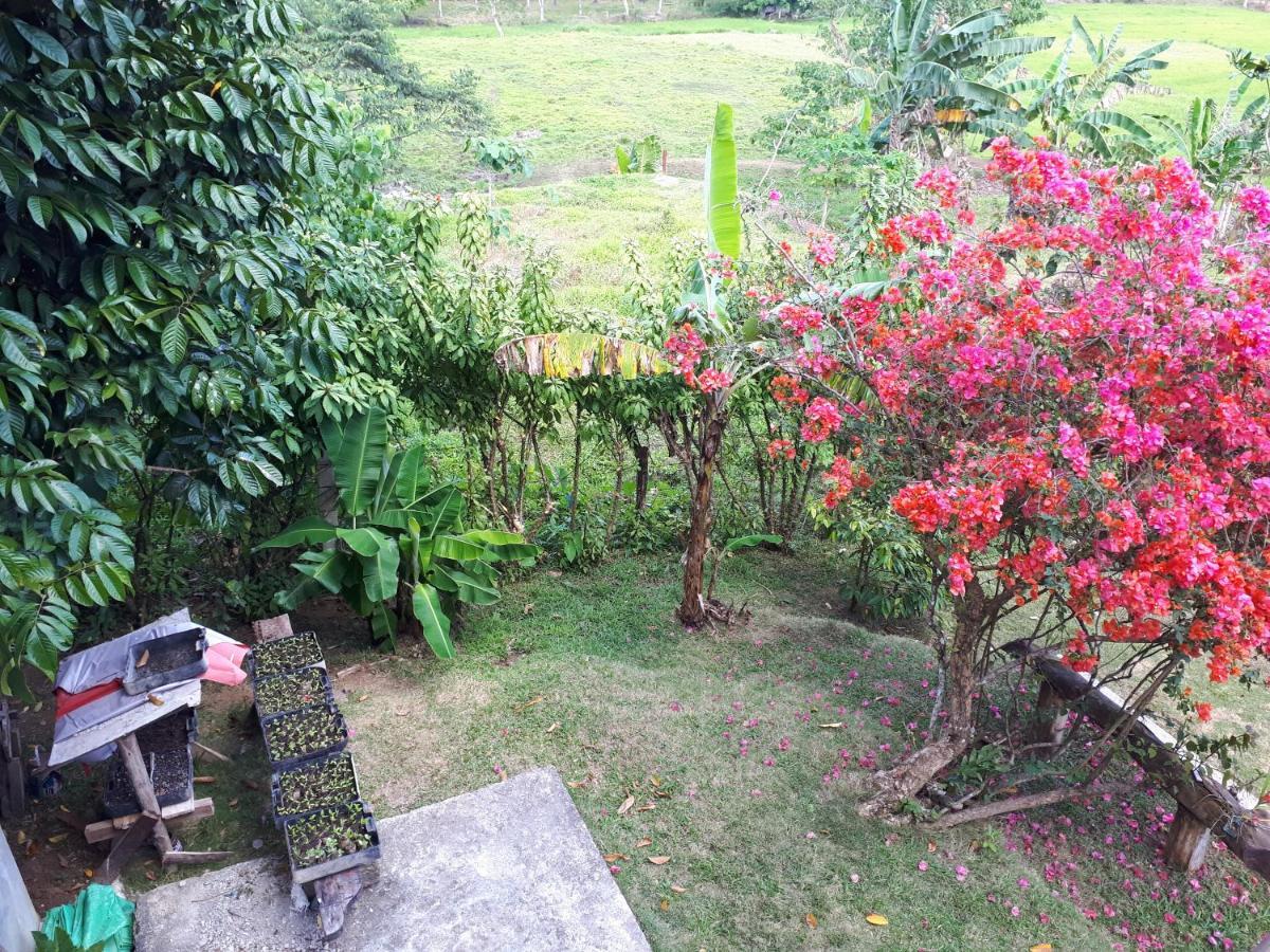 Villa Del Carmen Haven Bohol Exterior photo